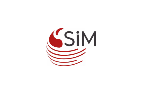 sim_sistem
